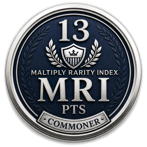 MRI 13